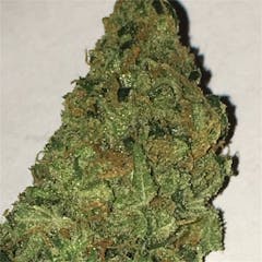 User uploaded image of Tangie