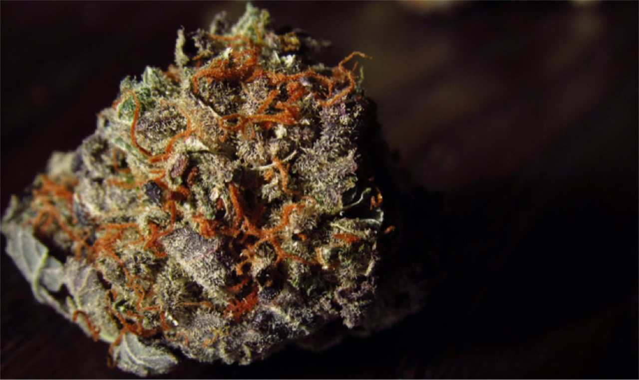 バクバクファクトリーページ Tangie バクバクファクトリー様 専用