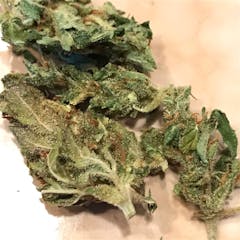 User uploaded image of Tangie