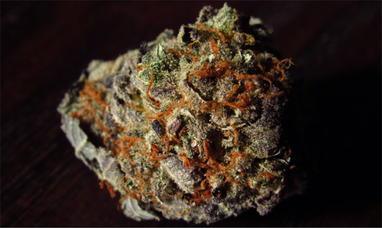 Tangie Weed Strain Information | Leafly