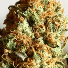 User uploaded image of Tangier Chilly