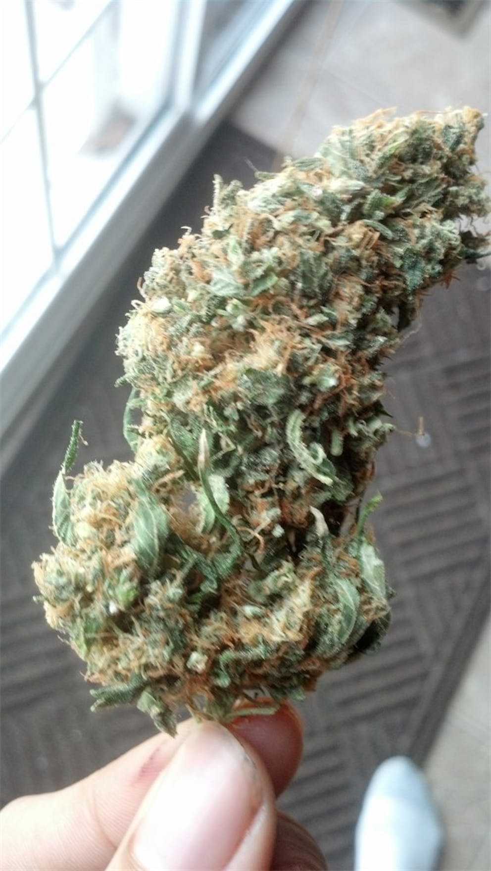 Photos of Tangilope Weed Strain Buds | Leafly