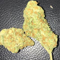 User uploaded image of Tangilope