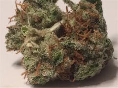 User uploaded image of Tangilope