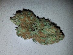 User uploaded image of Tangilope