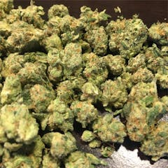 User uploaded image of Terminator OG