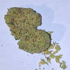 User uploaded image of Thai Girl