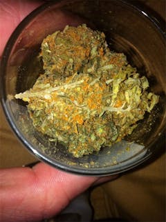 User uploaded image of Thai Haze
