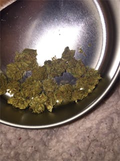 User uploaded image of Thai Haze