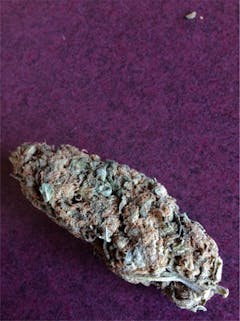 User uploaded image of Thai Lights