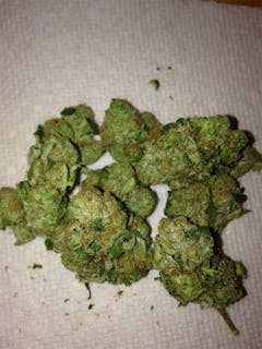 User uploaded image of Thai Lights