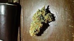 User uploaded image of Thai Lights