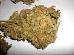 User uploaded image of Thai-Tanic