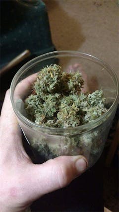 User uploaded image of Thai