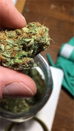 User uploaded image of Thai