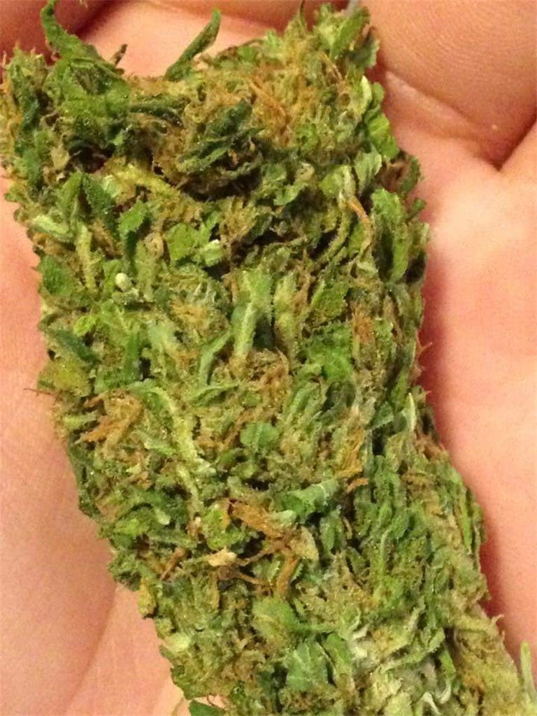 Photos of Thai Weed Strain Buds Leafly
