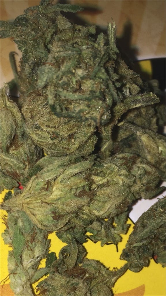 Thai aka Thai Stick, Thailand Weed Strain Information Leafly