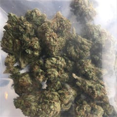 User uploaded image of Tidal Wave