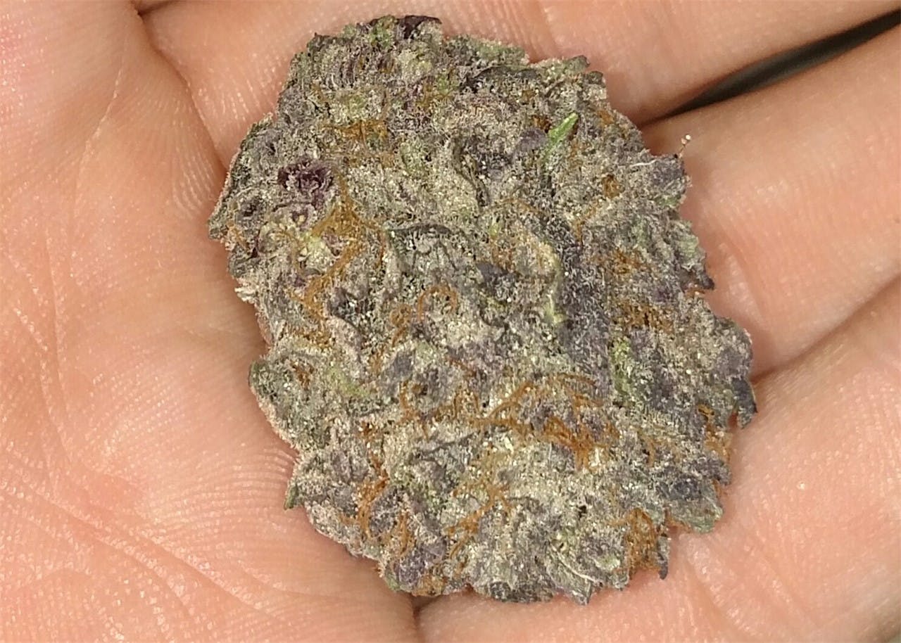 Photos of The Black Weed Strain Buds Leafly