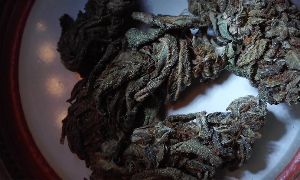 Photos of The Black Weed Strain Buds Leafly
