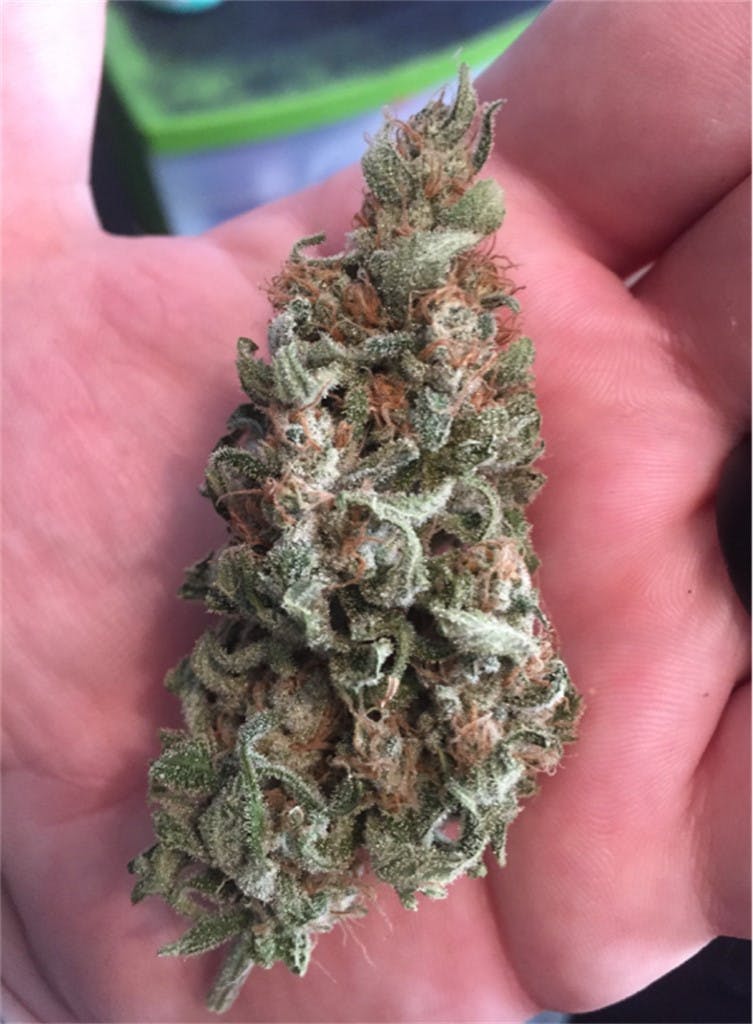 Photos of The Black Weed Strain Buds Leafly