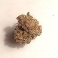 User uploaded image of The Blood