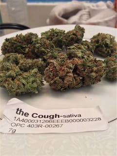 User uploaded image of The Cough