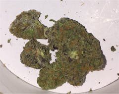 User uploaded image of The Cough