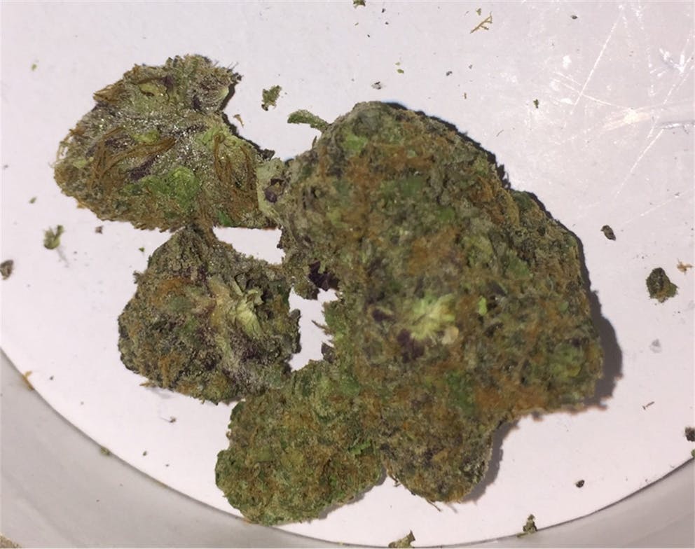 Photos Of The Cough Weed Strain Buds 