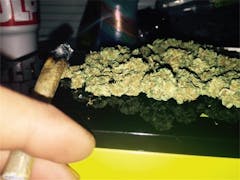 User uploaded image of The Cough