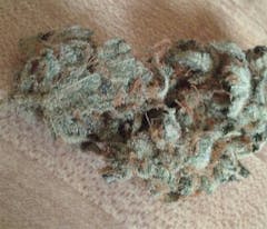 User uploaded image of The Flav