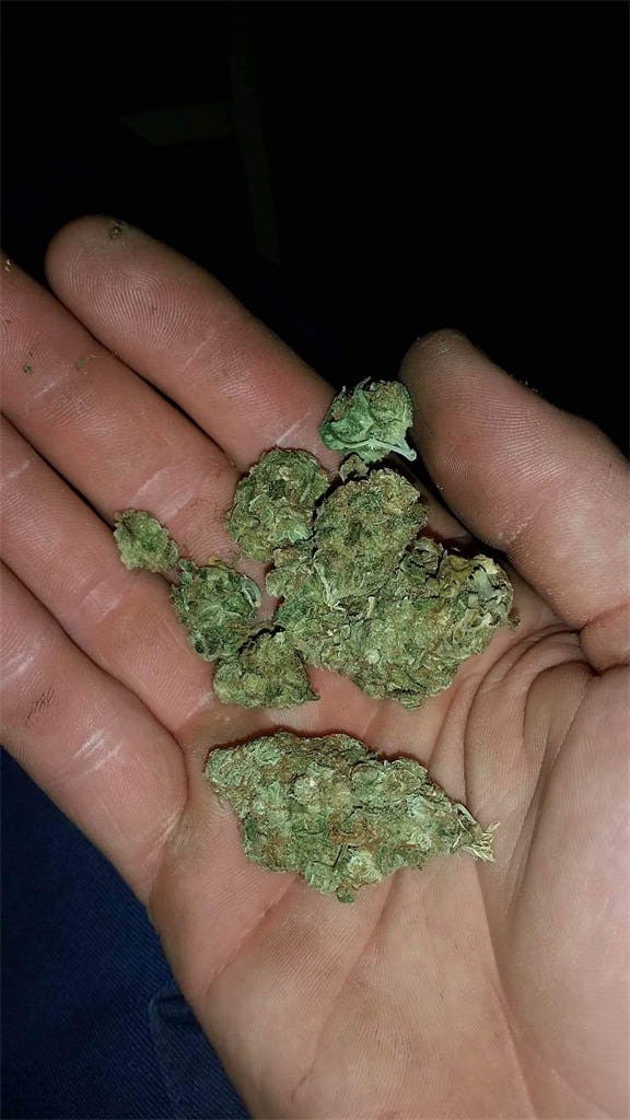 The Fork Weed Strain Information Leafly