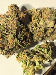 User uploaded image of The Grunk