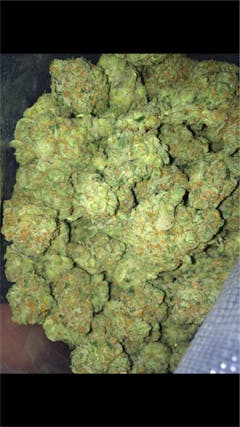 User uploaded image of The Grunk