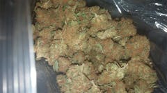 User uploaded image of The Grunk