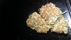 User uploaded image of The Hog