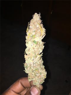 User uploaded image of The Hog