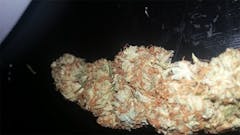 User uploaded image of The Hog