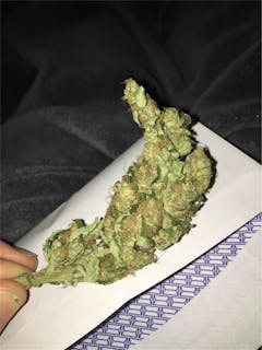 User uploaded image of The Hog