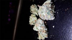 User uploaded image of The One