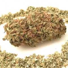 User uploaded image of The One