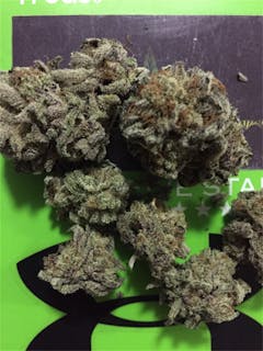 User uploaded image of The One