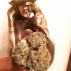 User uploaded image of The One