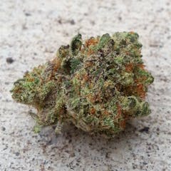 User uploaded image of The One