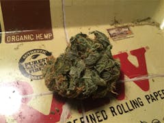 User uploaded image of The Ooze