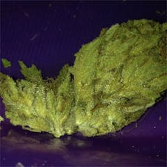 User uploaded image of The OX