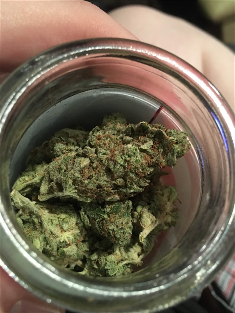 The Sauce Marijuana Strain Information