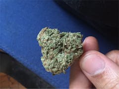 User uploaded image of The Sauce