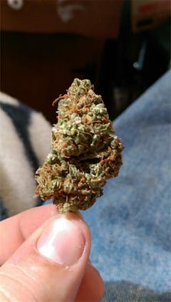 User uploaded image of 3D