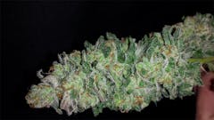 User uploaded image of 3D